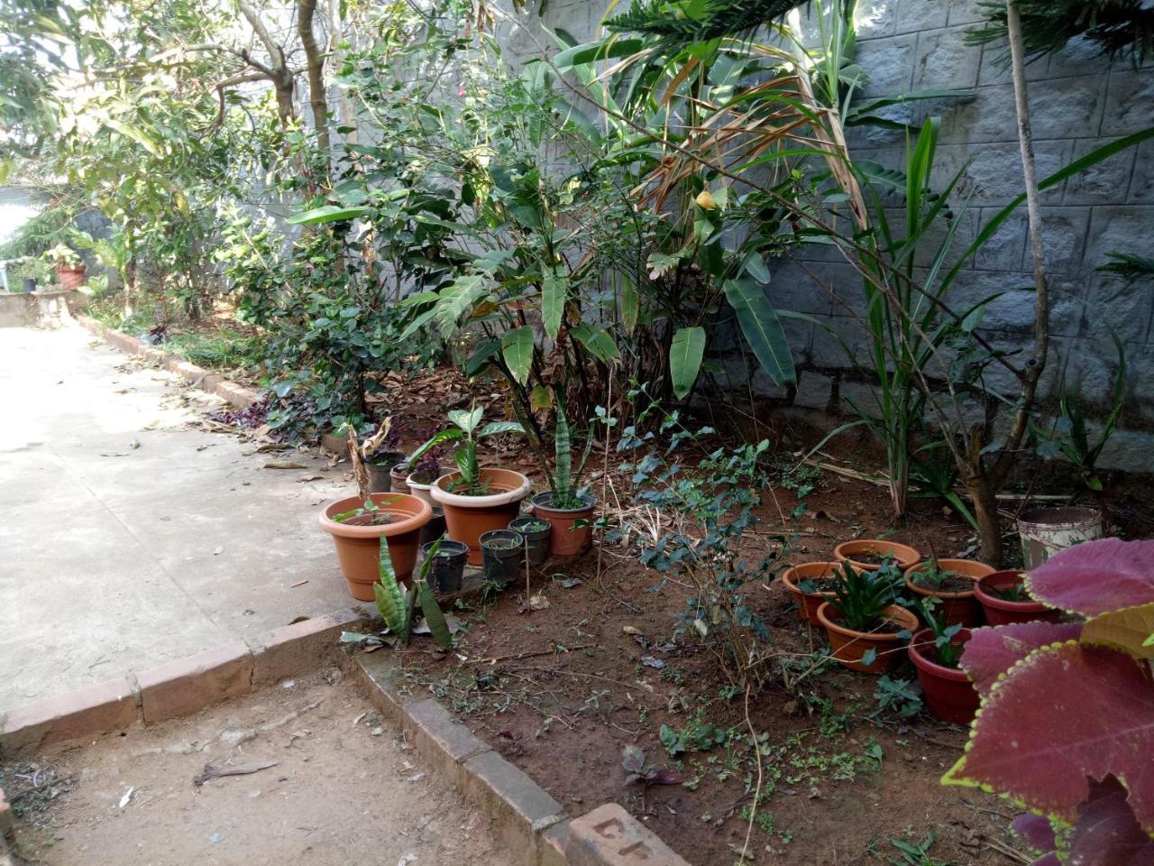 מדיקרי Coorg Villas מראה חיצוני תמונה